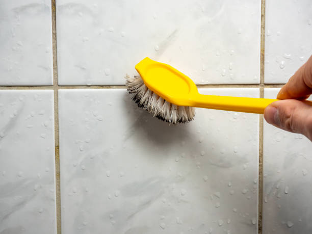 Best Mold Testing and Inspection Services in Hudson, WI