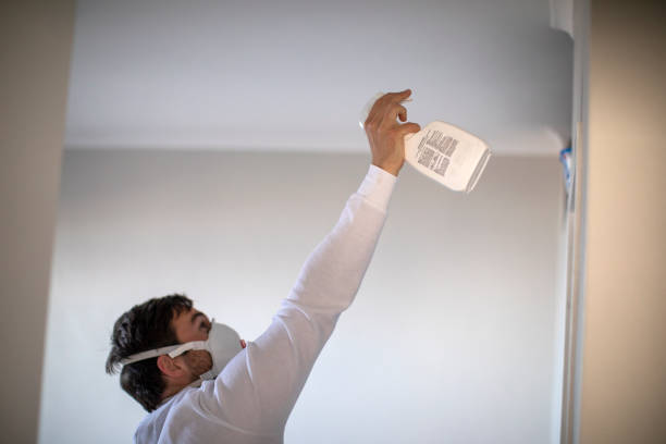 Best Bathroom Mold Remediation in Hudson, WI
