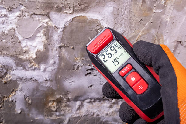 Best Kitchen Mold Remediation in Hudson, WI