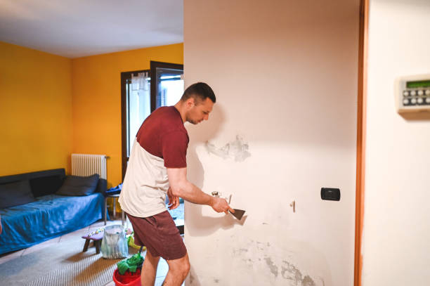 Best Industrial Mold Remediation in Hudson, WI